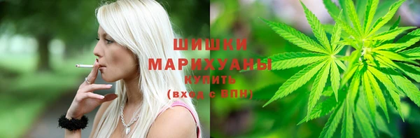 spice Лабытнанги