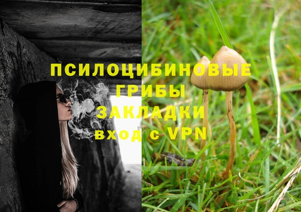 дмт Кулебаки